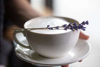 Black Lavender Latte on a saucer and garnished with a lavender sprig.