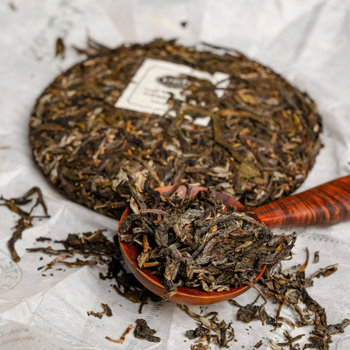 A Moment with Pu-erh
