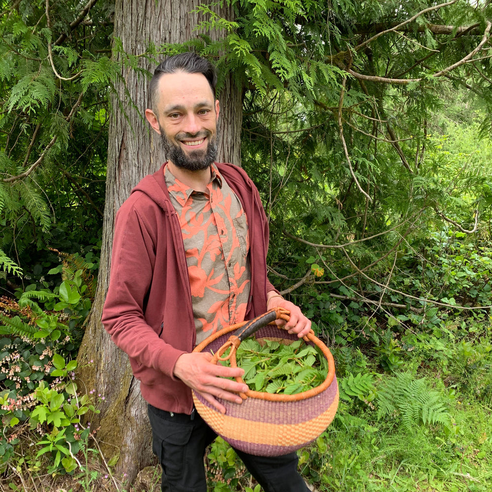 Northwest Alder Leaf