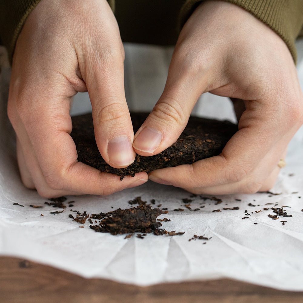 Hand breaking tea off a ripe pu-erh cake.