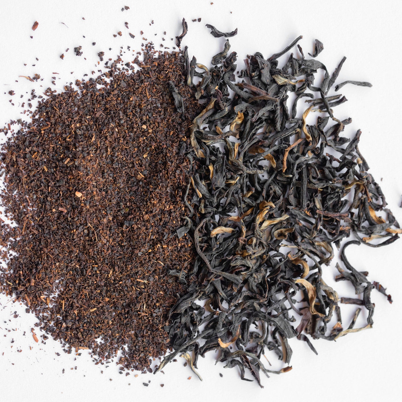 Tea fannings next to full leaf Smith tea to show difference in cut size.