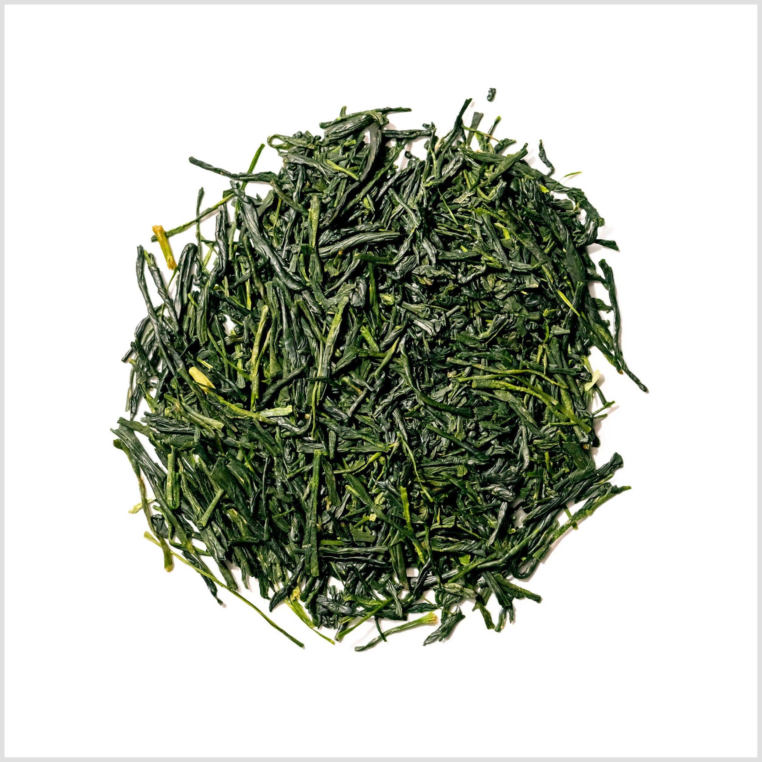 Loose leaf gyokuro green tea to show bright green, flat tea leaves.