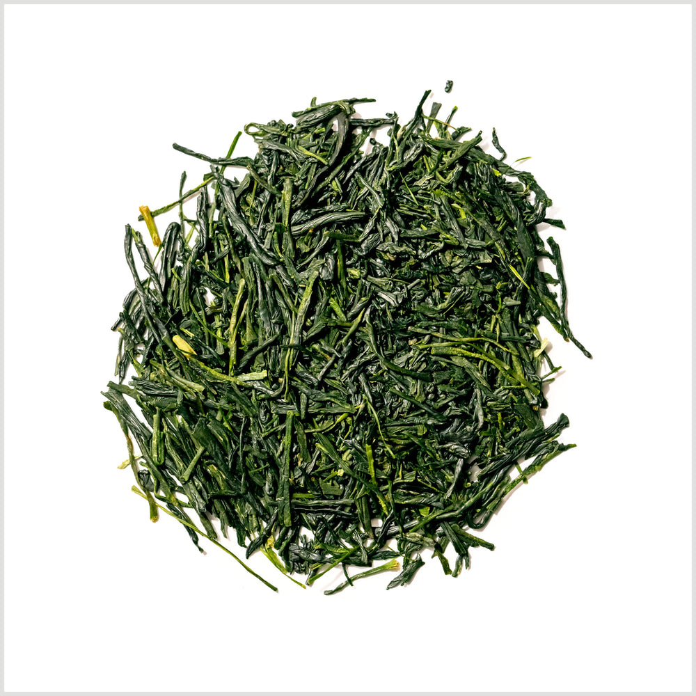 Loose leaf gyokuro green tea to show bright green, flat tea leaves.