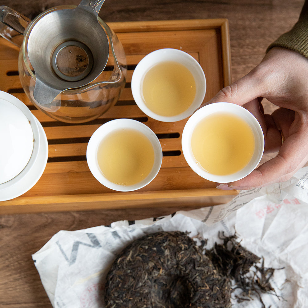 Hand holding a gaiwan cup filled with tea with pu erh cake and gaiwan set in background.