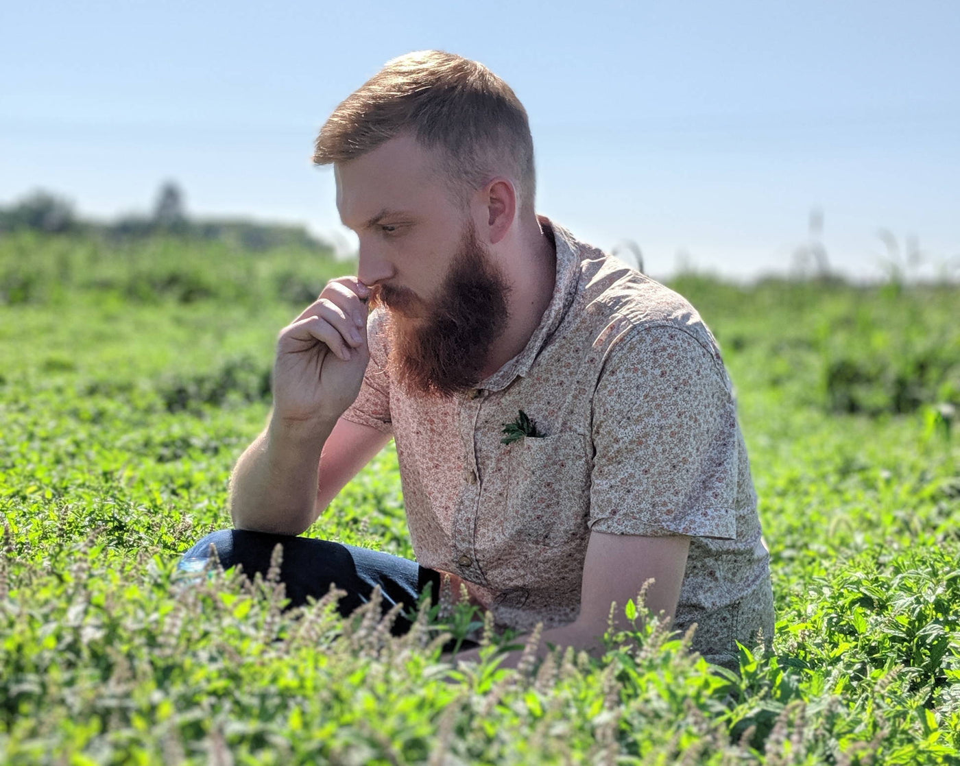 Teamaker kneeling in a sunny field of peppermint smelling a leaf.