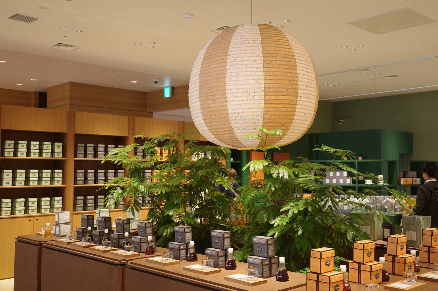 View of Tokyo Tasting Room with large tea-stained lantern hanging from the ceiling above a detailed display of tea boxes, brewed tea and tea leaves with a fern in the center of the room.