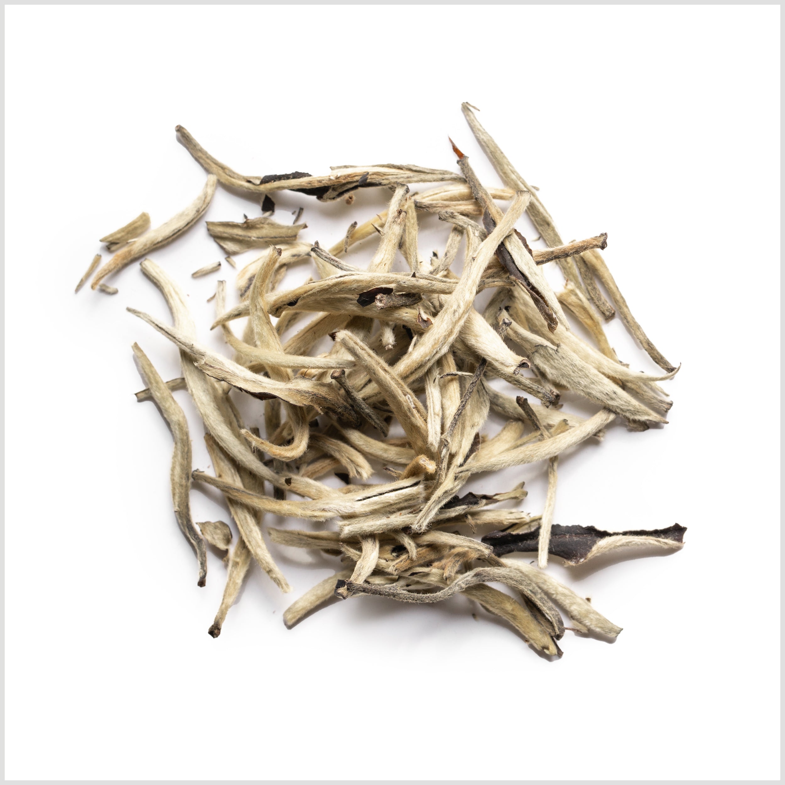 Yunnan Silver Needle
