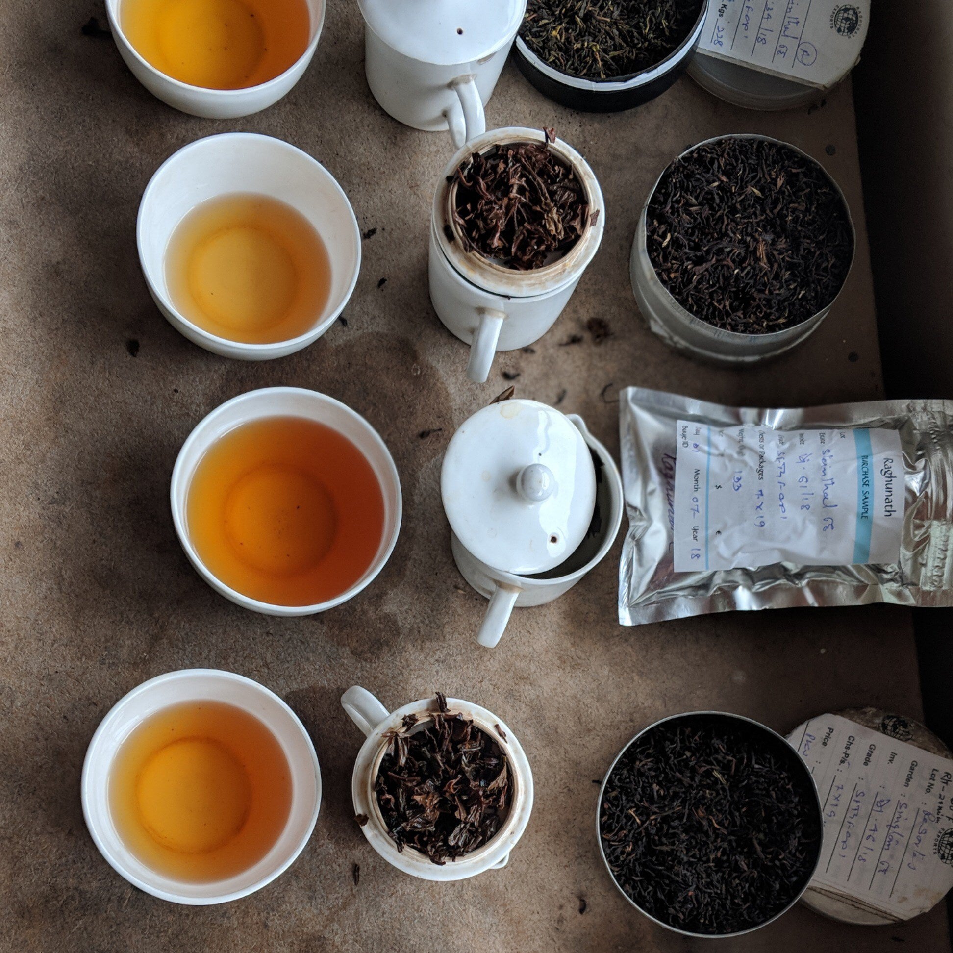 Line tasting of Darjeeling teas with full cups of tea next to brewing vessels filled with loose tea.